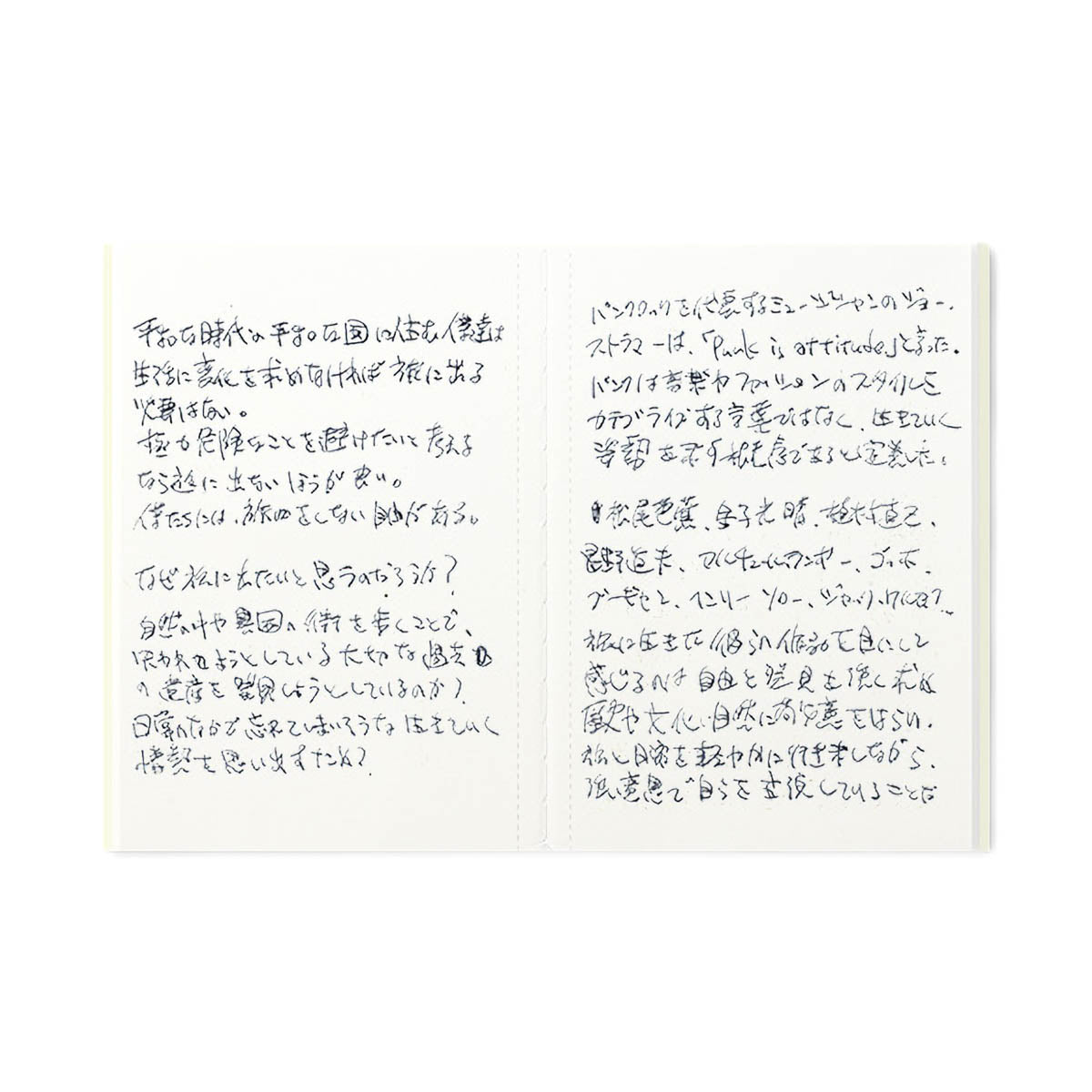 Notizbuch - TRAVELER'S notebook - Passport Size - Notebook