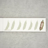 Notizblock - Shinzi Katoh - Note Pad - My Dear Cats