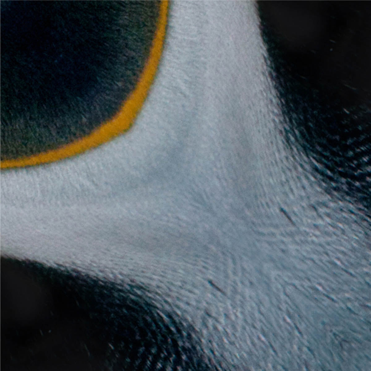 Origami Papier - Polar