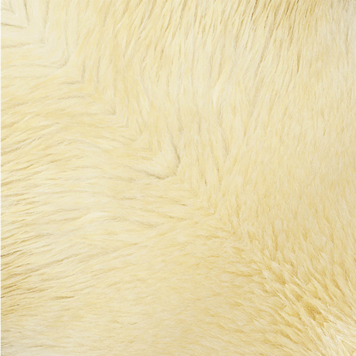 Origami Papier - Polar