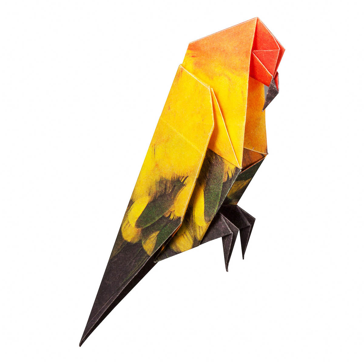 Origami Papier - Tropische Vögel