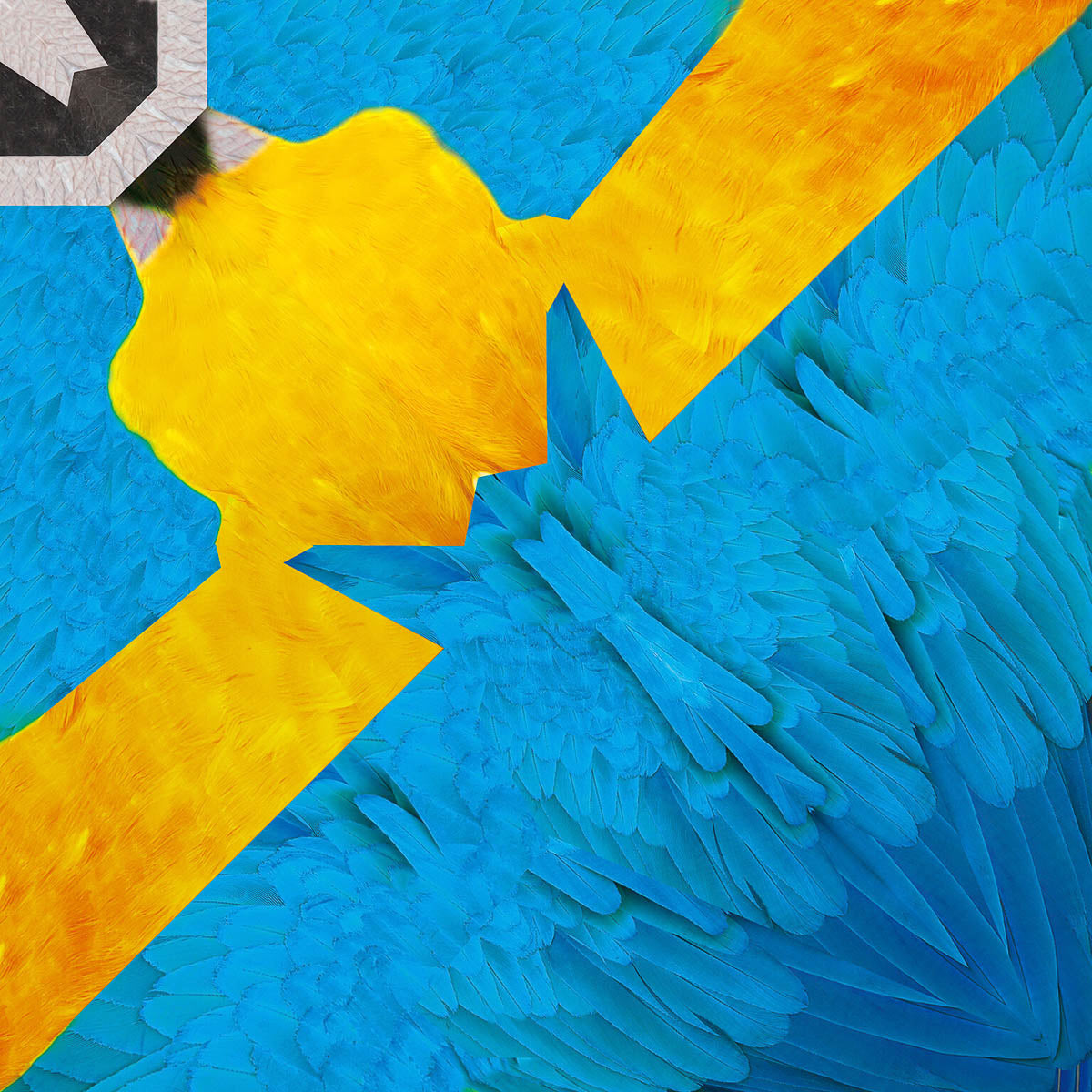 Origami Papier - Tropische Vögel