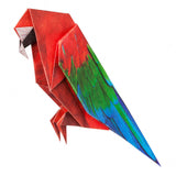 Origami Papier - Tropische Vögel