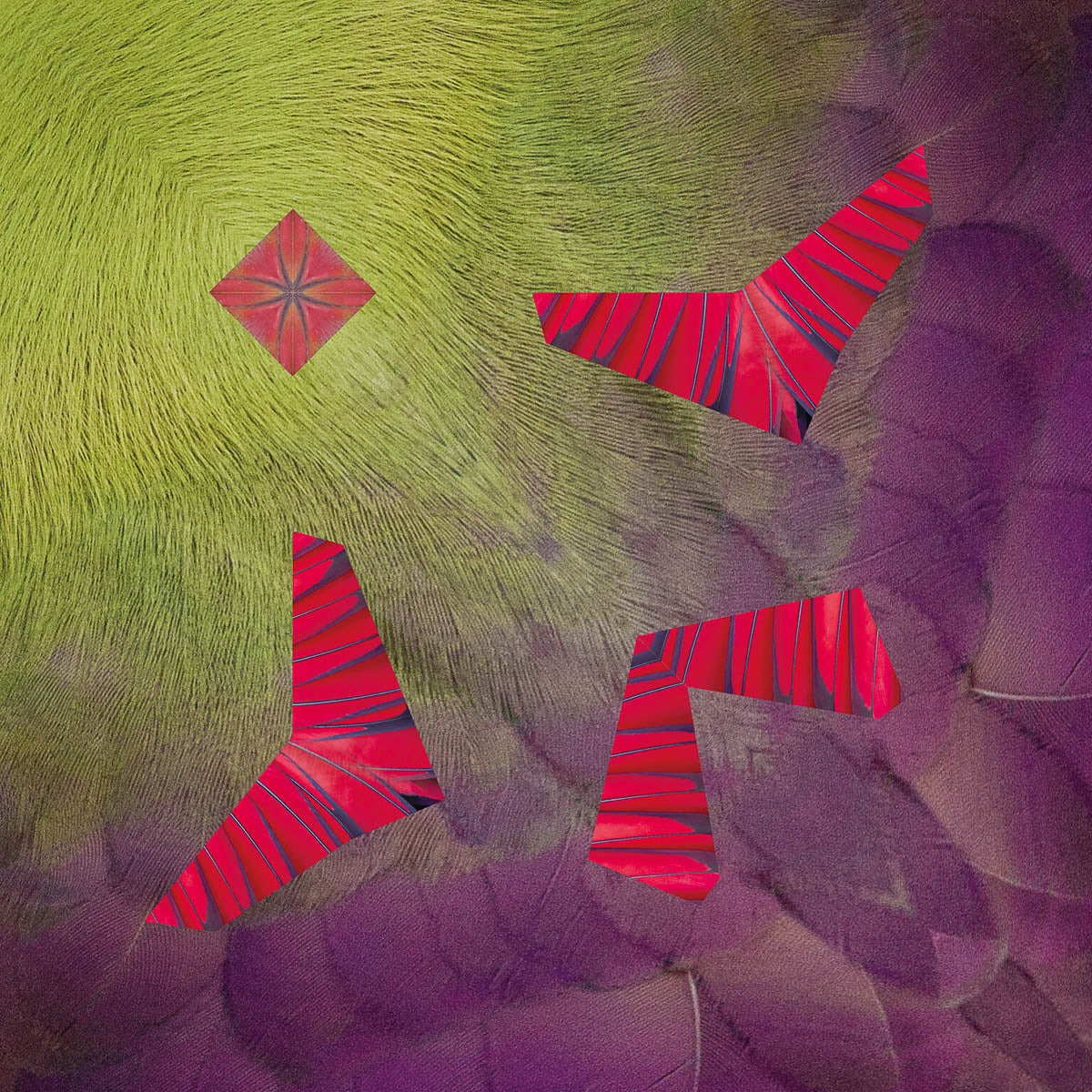 Origami Papier - Tropische Vögel