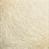 Origami Papier - Special Edition