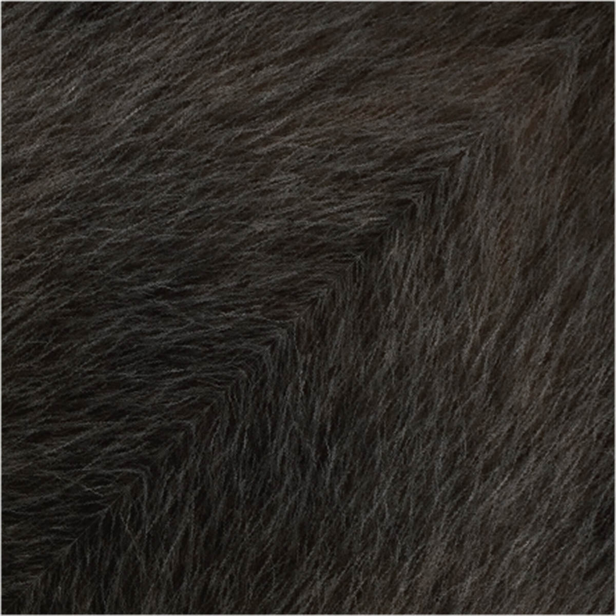 Origami Papier - Special Edition