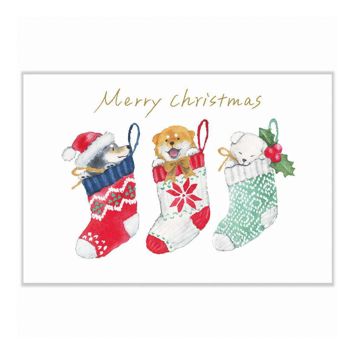 Postkarte - Shiba Inu and Christmas