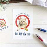 Postkarte - Tocotoco Circus - Cute Cat
