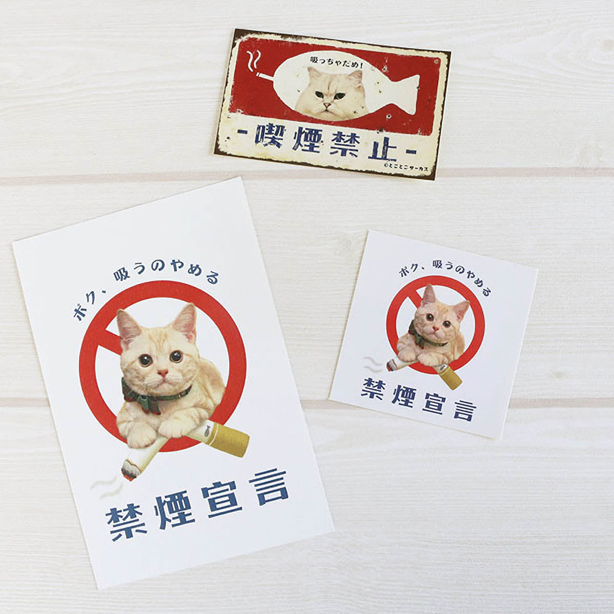 Postkarte - Tocotoco Circus - Cute Cat
