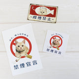 Postkarte - Tocotoco Circus - Cute Cat