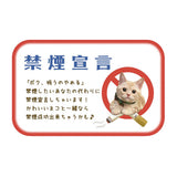 Postkarte - Tocotoco Circus - Cute Cat