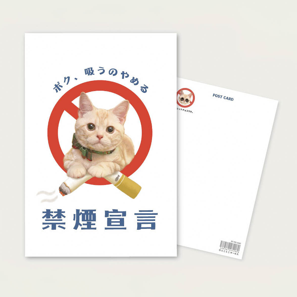 Postkarte - Tocotoco Circus - Cute Cat