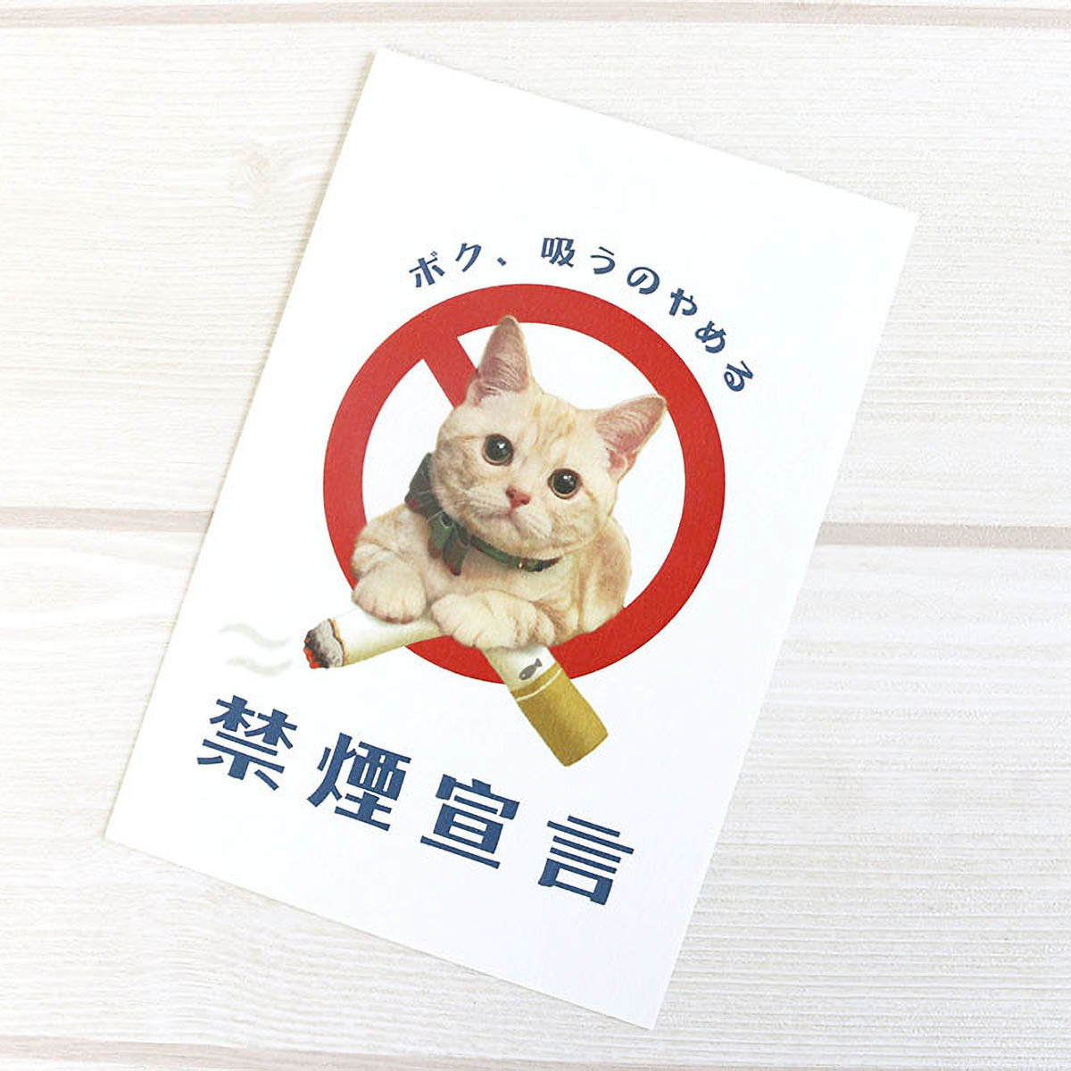 Postkarte - Tocotoco Circus - Cute Cat