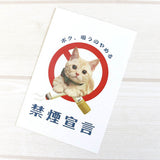 Postkarte - Tocotoco Circus - Cute Cat