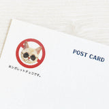 Postkarte - Tocotoco Circus - Cute Cat