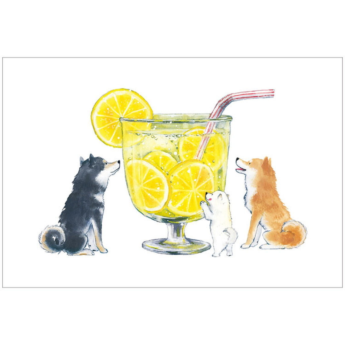 Postkarte - Shiba Inu and Summer