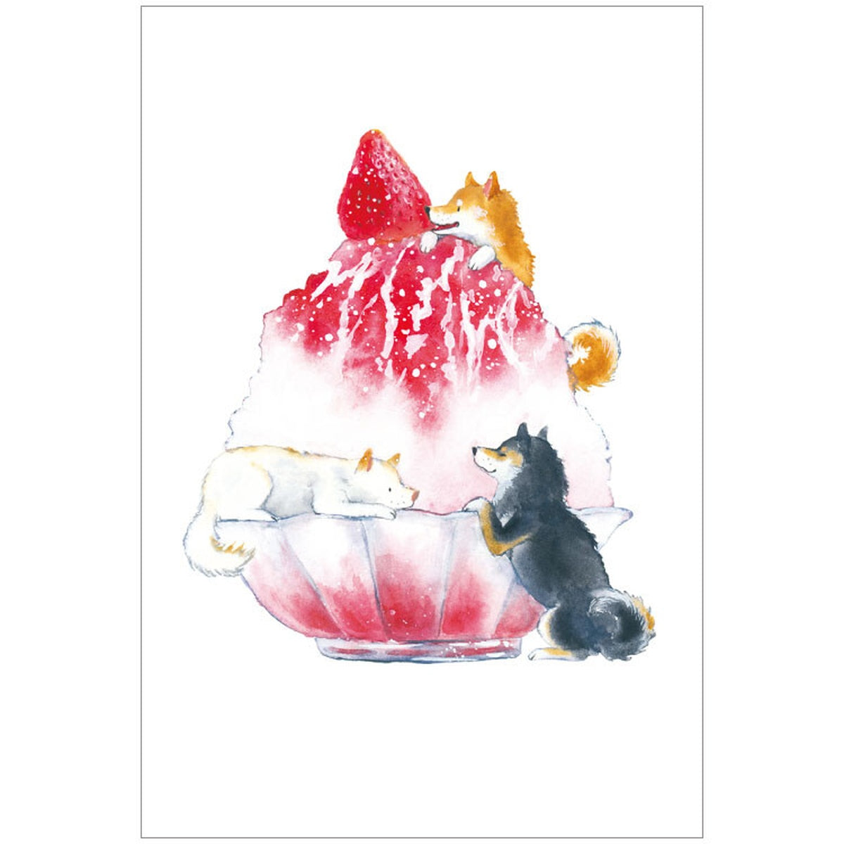Postkarte - Shiba Inu and Summer