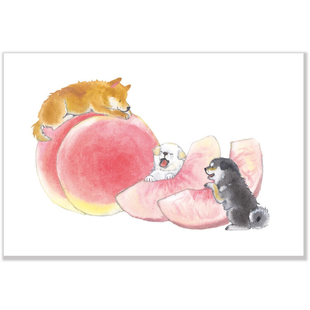 Postkarte - Shiba Inu and Summer