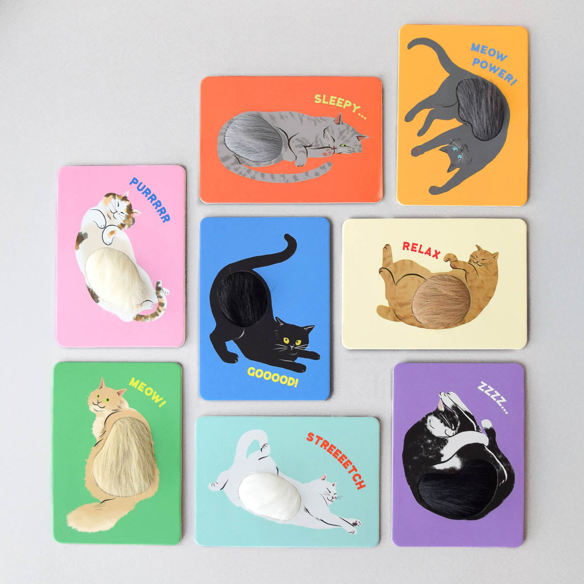 Postkarte - Fluffy Cats