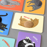 Postkarte - Fluffy Cats