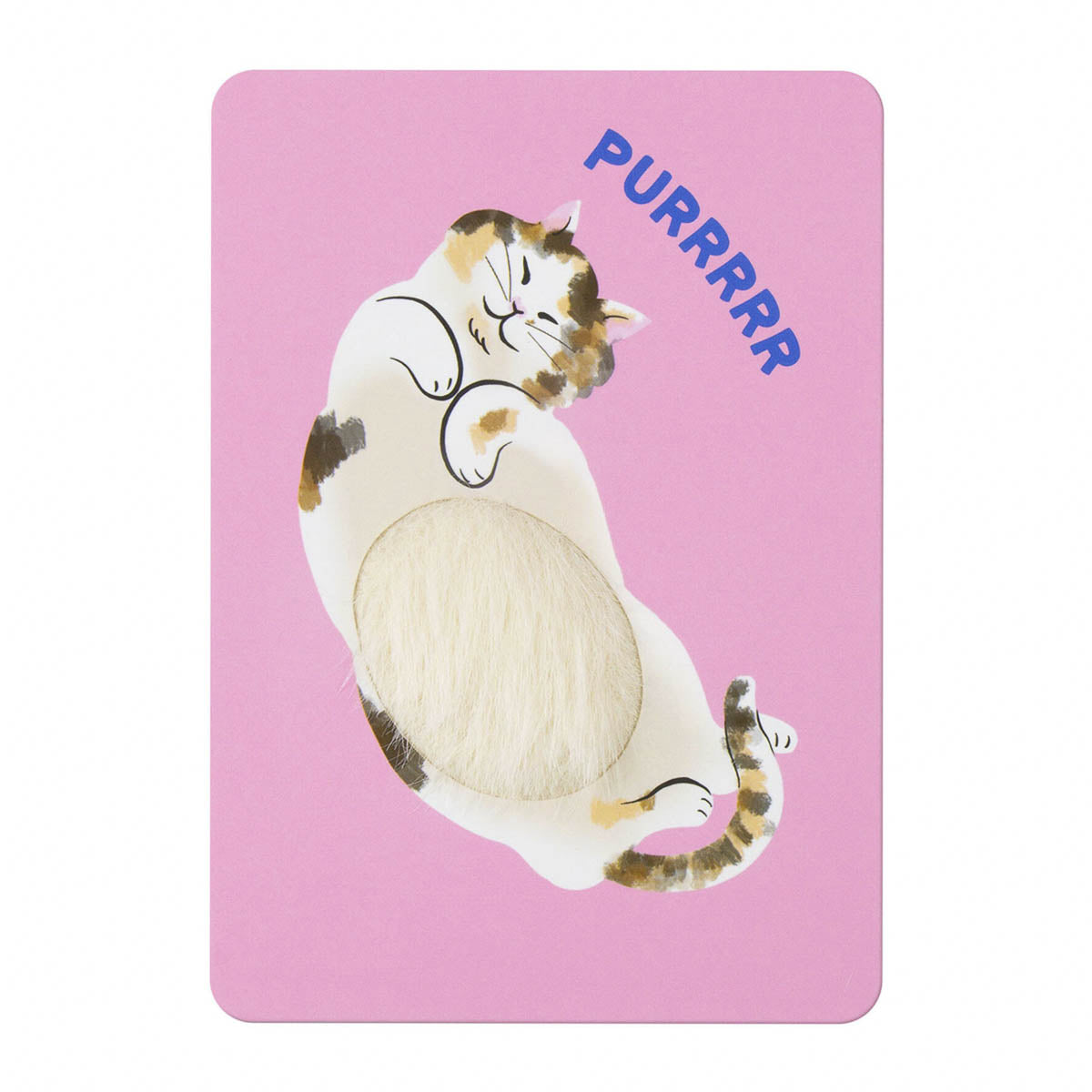 Postkarte - Fluffy Cats