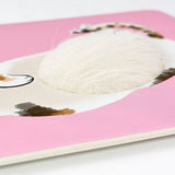 Postkarte - Fluffy Cats