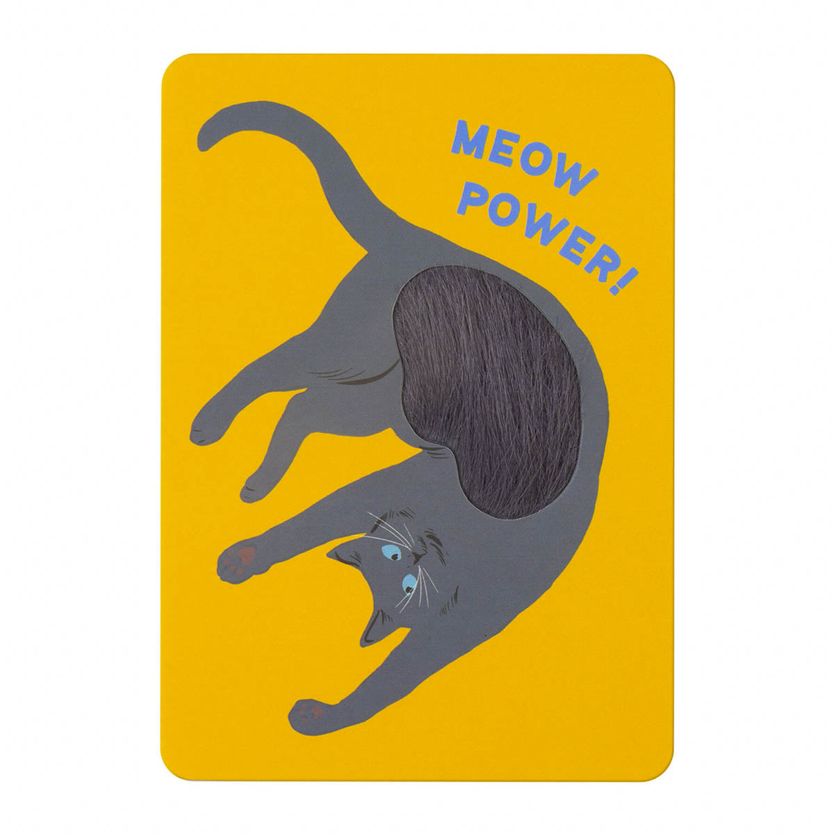 Postkarte - Fluffy Cats