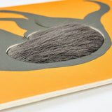 Postkarte - Fluffy Cats