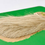 Postkarte - Fluffy Cats