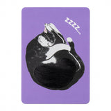 Postkarte - Fluffy Cats