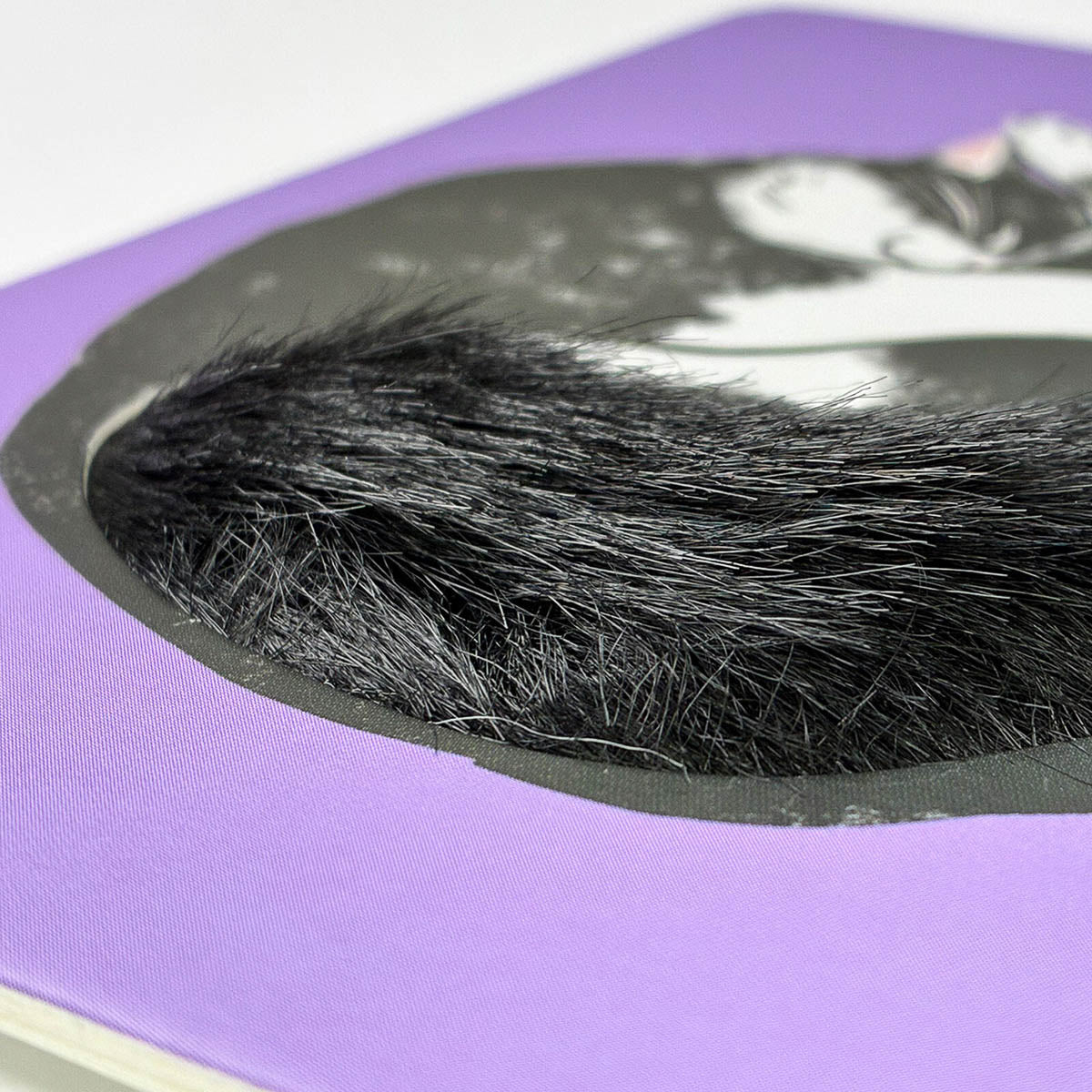 Postkarte - Fluffy Cats