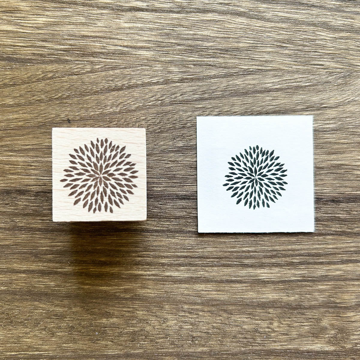 Stempel (Gummi) - Plants - 2025