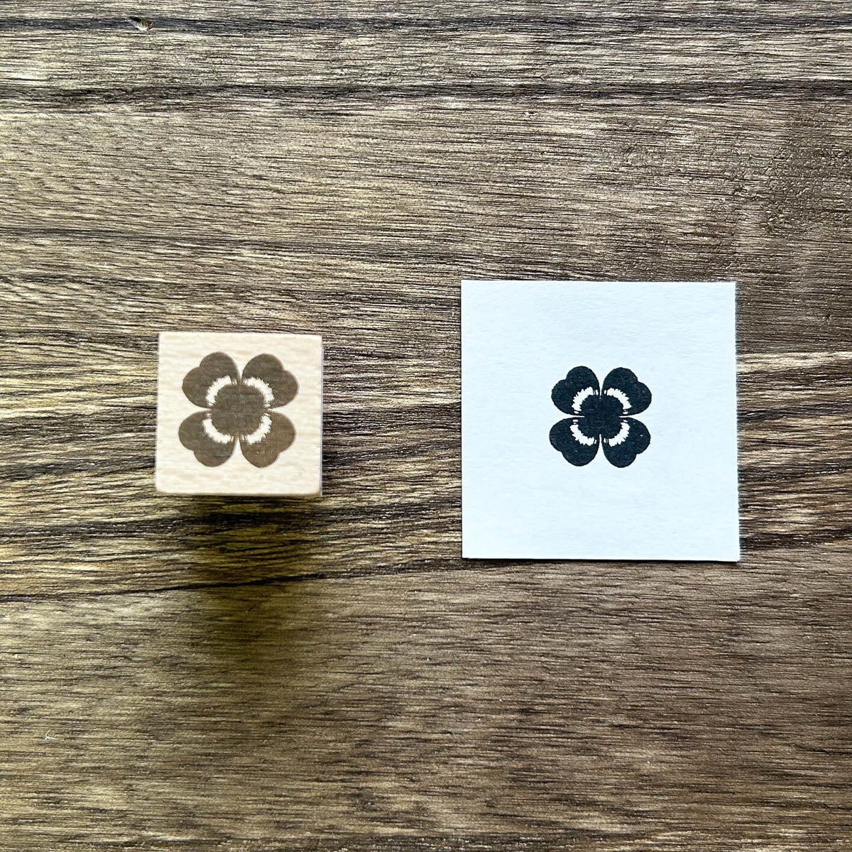 Stempel (Gummi) - Plants - 2025