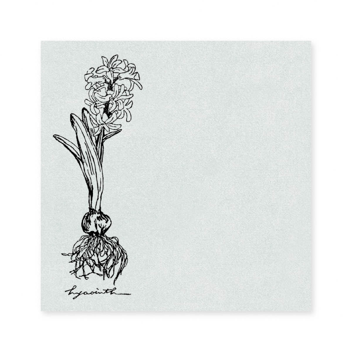 Haftnotizen - Papier Platz - HÜTTE. - Blumen